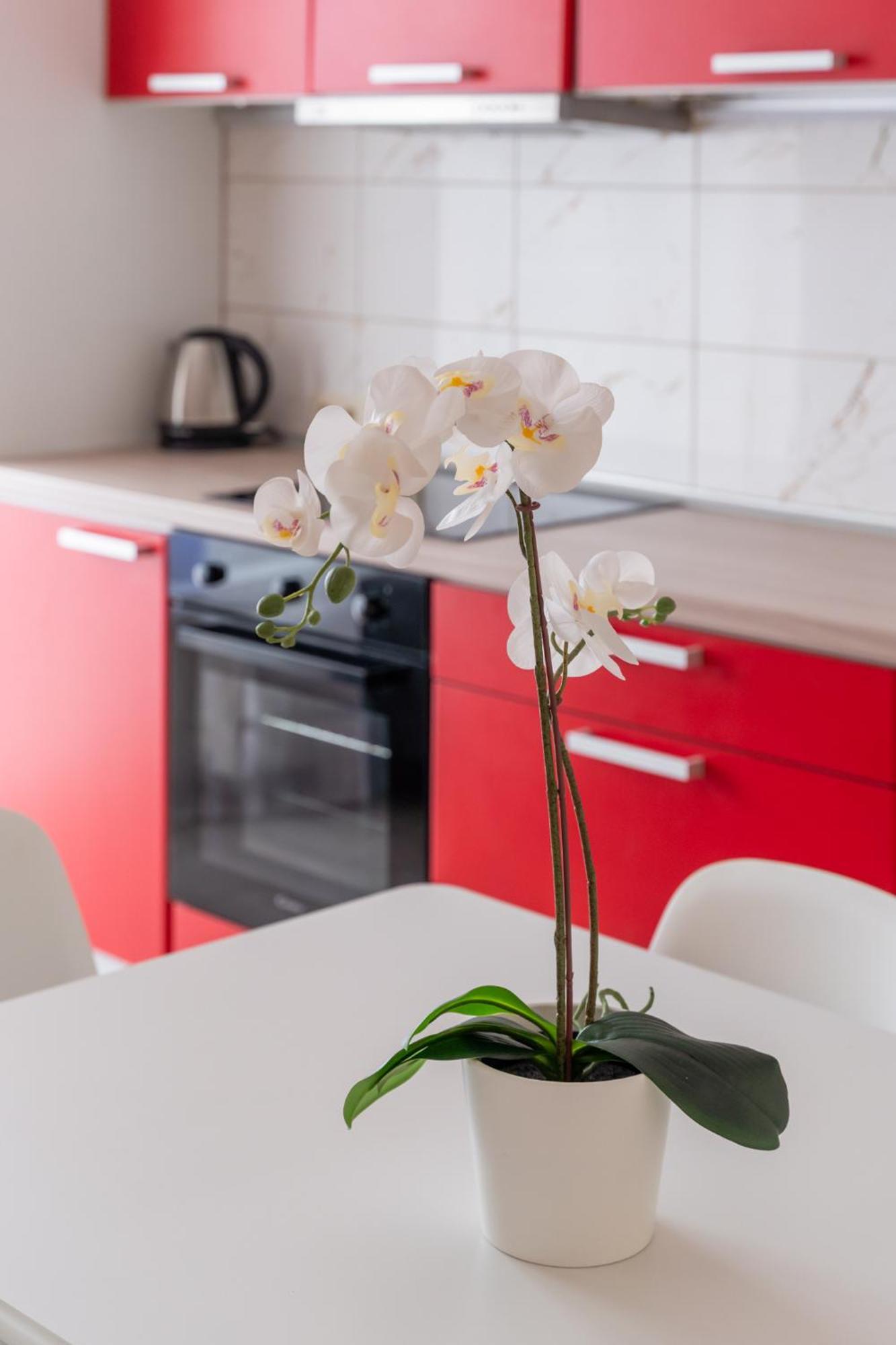 Modern With Balcony Huoneisto *